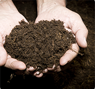 hands holding potting soil